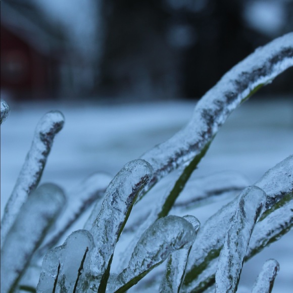 Meet your Posher, Traci - Picture 1 of 1